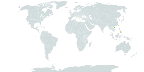 Stemona tuberosa var. tuberosa world distribution map, present in China, Philippines, Taiwan, Province of China, and Uruguay