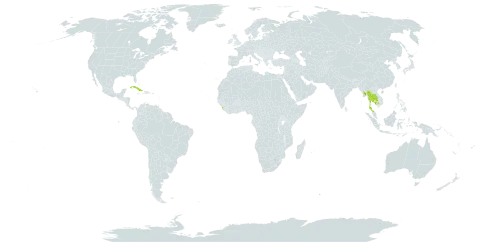 Sterculia urens world distribution map, present in Cuba, Cambodia, Sri Lanka, Myanmar, and Thailand