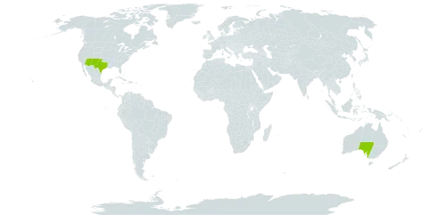 Stevia world distribution map, present in Australia and United States of America