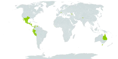 Stevia ovata world distribution map, present in American Samoa, Australia, Switzerland, Colombia, Costa Rica, Ecuador, Georgia, Guatemala, Honduras, India, Sri Lanka, Mexico, Nicaragua, Panama, Peru, El Salvador, United States of America, and Venezuela (Bolivarian Republic of)