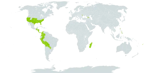 Stillingia world distribution map, present in Åland Islands, Belize, Bolivia (Plurinational State of), Colombia, Costa Rica, Fiji, Georgia, Guatemala, Honduras, Moldova (Republic of), Madagascar, Mauritius, Nicaragua, Panama, Peru, Philippines, Paraguay, Réunion, and United States of America