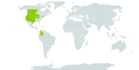 Stipa comata world distribution map, present in Canada, Colombia, Micronesia (Federated States of), and United States of America