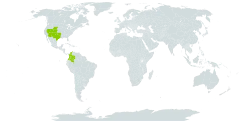 Stipa neomexicana world distribution map, present in Colombia and United States of America