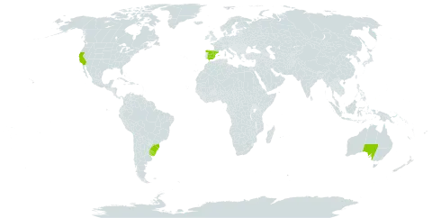 Stipa papposa world distribution map, present in Australia, Brazil, Spain, Palau, Uruguay, and United States of America