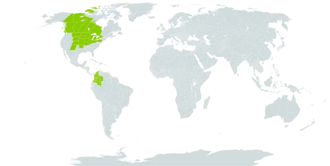 Stipa spartea world distribution map, present in Canada, Colombia, Micronesia (Federated States of), and United States of America