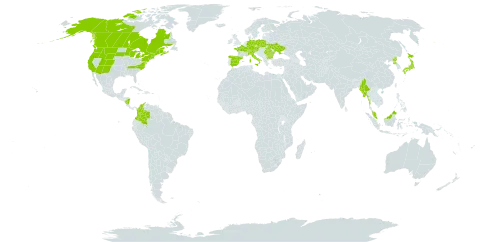 Streptopus amplexifolius world distribution map, present in Austria, Bulgaria, Canada, Switzerland, Colombia, Czech Republic, Germany, Spain, France, Micronesia (Federated States of), Italy, Japan, Myanmar, Malaysia, Nicaragua, Poland, Korea (Democratic People's Republic of), Romania, Ukraine, and United States of America