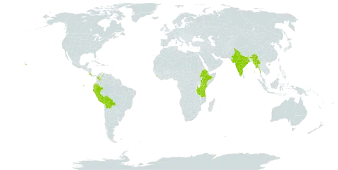 Streptosolen jamesonii world distribution map, present in Bolivia (Plurinational State of), Colombia, Costa Rica, Ecuador, Ethiopia, India, Kenya, Sri Lanka, Myanmar, Peru, Tanzania, United Republic of, United States of America, and Venezuela (Bolivarian Republic of)