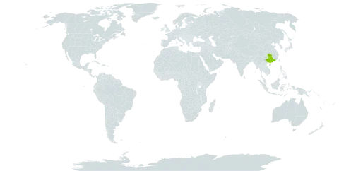 Strobilanthes biocullata world distribution map, present in China