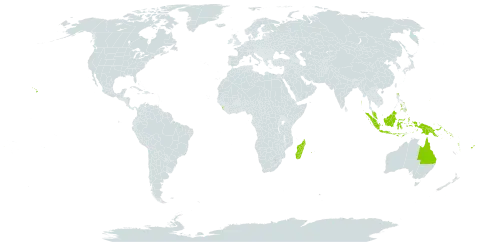 Strongylodon lucidus world distribution map, present in Australia, Barbados, Fiji, Guam, Indonesia, India, Sri Lanka, Madagascar, Northern Mariana Islands, Malaysia, Philippines, Papua New Guinea, Réunion, Solomon Islands, United States of America, and Vanuatu