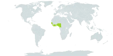 Strychnos splendens world distribution map, present in Benin, Côte d'Ivoire, Cameroon, Ghana, Guinea, Guinea-Bissau, Equatorial Guinea, Liberia, Nigeria, Senegal, and Sierra Leone