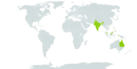 Stylidium world distribution map, present in Australia, China, Hong Kong, Indonesia, India, Malaysia, and Philippines