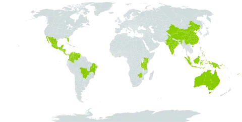 Stylosanthes hamata world distribution map, present in Australia, Bonaire, Sint Eustatius and Saba, Burkina Faso, Belize, Brazil, Barbados, China, Colombia, Costa Rica, Fiji, Ghana, Guatemala, Honduras, Indonesia, India, Kenya, Sri Lanka, Mexico, Malaysia, Nicaragua, Nauru, Panama, Philippines, Papua New Guinea, Singapore, El Salvador, Timor-Leste, Tanzania, United Republic of, United States of America, Venezuela (Bolivarian Republic of), and Zimbabwe