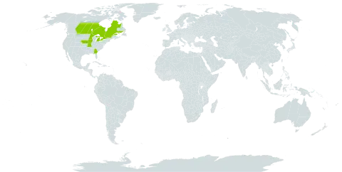 Symphyotrichum firmum world distribution map, present in Canada and United States of America