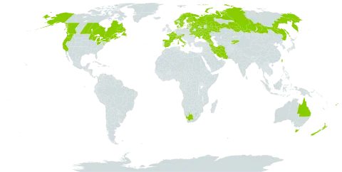 Symphytum asperum world distribution map, present in Armenia, Australia, Austria, Azerbaijan, Belgium, Belarus, Canada, Switzerland, Denmark, Spain, Estonia, Finland, Fiji, France, United Kingdom of Great Britain and Northern Ireland, Georgia, Iran (Islamic Republic of), Italy, Kyrgyzstan, Latvia, Norway, New Zealand, Russian Federation, Sweden, Taiwan, Province of China, Ukraine, United States of America, and South Africa