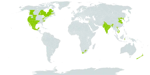 Tamarix chinensis world distribution map, present in Canada, China, Indonesia, India, Cambodia, Lebanon, Mexico, New Zealand, Korea (Democratic People's Republic of), United States of America, Viet Nam, and South Africa