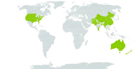 Tamarix world distribution map, present in Afghanistan, Australia, Bangladesh, China, India, Kenya, Sri Lanka, Myanmar, New Zealand, Pakistan, and United States of America