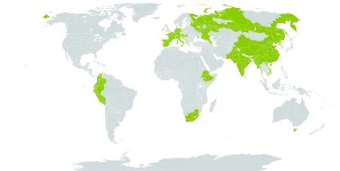 Tanacetum cinerariifolium world distribution map, present in Albania, Australia, Austria, Azerbaijan, Bosnia and Herzegovina, Brazil, Switzerland, China, Colombia, Cyprus, Germany, Ecuador, Spain, Ethiopia, France, Croatia, Hungary, India, Italy, Sri Lanka, Myanmar, Montenegro, Mauritius, Nepal, Pakistan, Peru, Korea (Democratic People's Republic of), Réunion, Russian Federation, Ukraine, Viet Nam, and South Africa