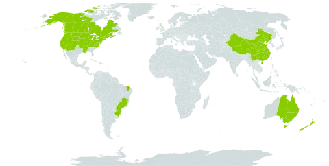 Tanacetum vulgare world distribution map, present in Australia, Brazil, Canada, China, France, United Kingdom of Great Britain and Northern Ireland, New Zealand, and United States of America