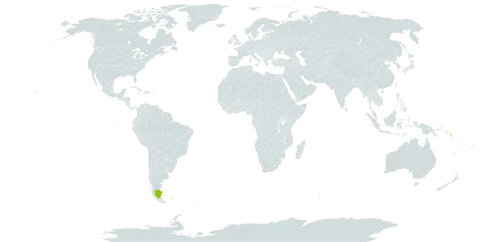 Tapeinosperma commutatum world distribution map, present in Argentina, Papua New Guinea, and Solomon Islands