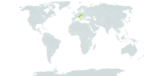 Taraxacum huterianum world distribution map, present in Austria, Czech Republic, Italy, and Slovakia