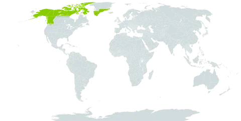 Taraxacum hyparcticum world distribution map, present in Canada, Greenland, and United States of America