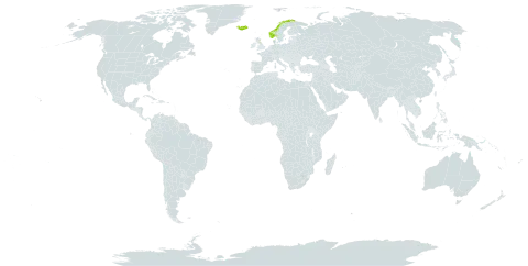 Taraxacum stictophyllum world distribution map, present in United Kingdom of Great Britain and Northern Ireland, Iceland, and Norway