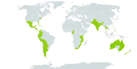 Tecoma capensis world distribution map, present in Argentina, Australia, Bonaire, Sint Eustatius and Saba, Bangladesh, Bermuda, Bolivia (Plurinational State of), Barbados, Cameroon, Colombia, Costa Rica, Cuba, Ecuador, Spain, Guam, Honduras, India, Jamaica, Mexico, Mozambique, Mauritius, Malawi, Nicaragua, Niue, New Zealand, Pakistan, Panama, Peru, Philippines, Puerto Rico, Paraguay, Réunion, eSwatini, Thailand, Trinidad and Tobago, Taiwan, Province of China, Tanzania, United Republic of, United States of America, and South Africa