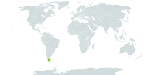 Tectaria kingii world distribution map, present in Argentina and Papua New Guinea