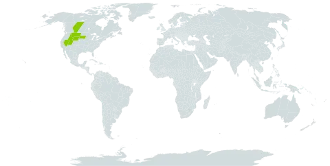 Telesonix heucheriformis world distribution map, present in Canada and United States of America