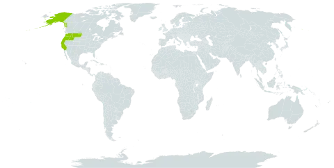 Tellima world distribution map, present in United States of America