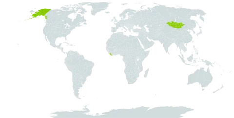 Tephroseris integrifolia subsp. atropurpurea world distribution map, present in Liberia, Mongolia, and United States of America