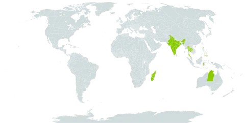 Tephrosia pumila var. pumila world distribution map, present in Australia, Comoros, Indonesia, India, Madagascar, Philippines, and Thailand