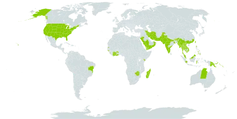 Tephrosia purpurea subsp. purpurea world distribution map, present in Australia, Brazil, Bhutan, China, Côte d'Ivoire, Ghana, Guinea-Bissau, Indonesia, India, Iran (Islamic Republic of), Kenya, Cambodia, Lao People's Democratic Republic, Sri Lanka, Madagascar, Myanmar, Mauritius, Malaysia, Nepal, Oman, Pakistan, Philippines, Papua New Guinea, Réunion, Saudi Arabia, Solomon Islands, Seychelles, Thailand, Taiwan, Province of China, United States of America, Viet Nam, Yemen, and Zimbabwe