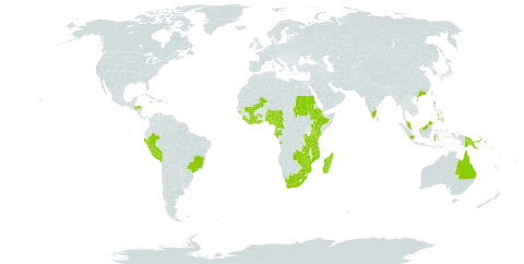 Tephrosia vogelii world distribution map, present in Angola, Australia, Burundi, Brazil, China, Côte d'Ivoire, Cameroon, Ethiopia, Gabon, Ghana, Guinea-Bissau, Equatorial Guinea, Honduras, Indonesia, India, Jamaica, Kenya, Liberia, Sri Lanka, Madagascar, Mali, Mozambique, Mauritius, Malawi, Malaysia, Nigeria, Peru, Philippines, Papua New Guinea, Rwanda, Sudan, Sierra Leone, Tanzania, United Republic of, Uganda, South Africa, Zambia, and Zimbabwe