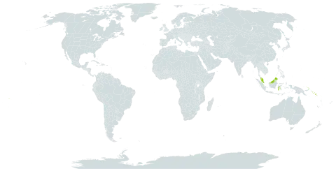 Terminalia samoensis world distribution map, present in American Samoa, Cook Islands, Micronesia (Federated States of), Guam, Indonesia, Kiribati, Marshall Islands, Northern Mariana Islands, Malaysia, Palau, Papua New Guinea, Solomon Islands, Tuvalu, United States Minor Outlying Islands, United States of America, and Samoa