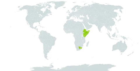 Tetragonia acanthocarpa world distribution map, present in Ethiopia, Kenya, Somalia, and South Africa