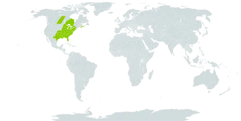 Thaspium barbinode world distribution map, present in Canada and United States of America