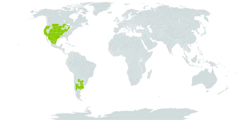 Thelesperma megapotamicum world distribution map, present in Argentina, Mexico, Uruguay, and United States of America