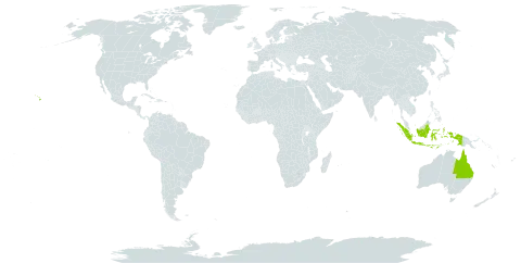 Thelypteris forsteri world distribution map, present in Australia, Indonesia, and United States of America