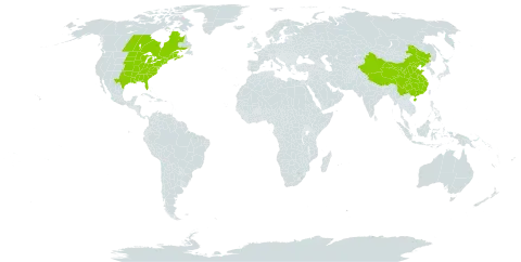 Thelypteris palustris subsp. pubescens world distribution map, present in Canada, China, France, and United States of America