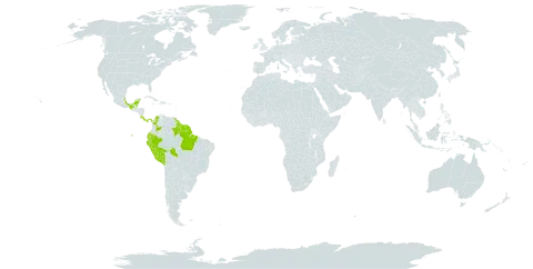 Thinouia myriantha world distribution map, present in Belize, Brazil, Colombia, Costa Rica, Ecuador, French Guiana, Guyana, Mexico, Panama, Peru, Suriname, and Venezuela (Bolivarian Republic of)