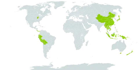 Thismia world distribution map, present in Andorra, Australia, Bolivia (Plurinational State of), China, Costa Rica, Ecuador, Indonesia, Japan, Lao People's Democratic Republic, Myanmar, New Zealand, Panama, Peru, Philippines, Papua New Guinea, Thailand, Taiwan, Province of China, United States of America, and Viet Nam