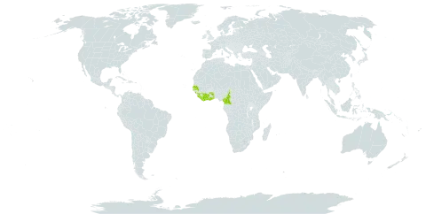 Thunbergia chrysops world distribution map, present in Côte d'Ivoire, Cameroon, Ghana, Guinea, Liberia, Senegal, Sierra Leone, and Togo