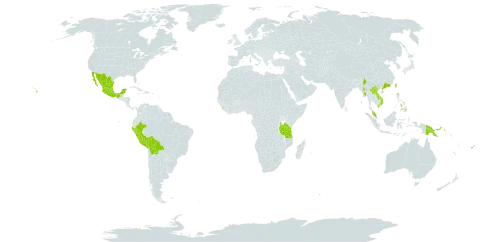 Thunbergia laurifolia world distribution map, present in Bolivia (Plurinational State of), China, Dominica, Fiji, Guam, India, Saint Kitts and Nevis, Lao People's Democratic Republic, Sri Lanka, Mexico, Myanmar, Malaysia, Peru, Philippines, Papua New Guinea, Singapore, Taiwan, Province of China, Tanzania, United Republic of, Uganda, United States of America, and Viet Nam