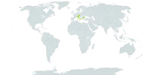 Thymus kosteleckyanus world distribution map, present in Austria, Bulgaria, Micronesia (Federated States of), and Italy