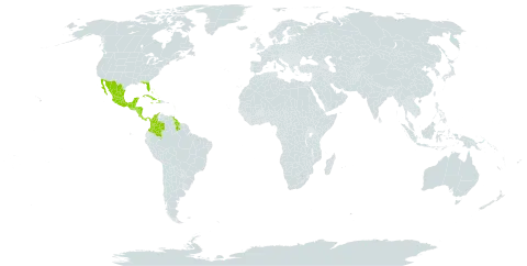 Tillandsia balbisiana world distribution map, present in Bahamas, Belize, Colombia, Costa Rica, Cuba, Cayman Islands, Dominica, Guatemala, Guyana, Honduras, Haiti, Jamaica, Mexico, Nicaragua, Panama, Puerto Rico, United States of America, and Venezuela (Bolivarian Republic of)