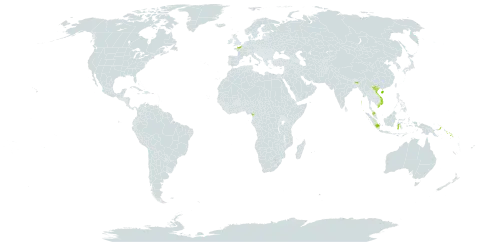 Tinospora glabra world distribution map, present in China, Cameroon, France, Indonesia, India, Malaysia, Philippines, Papua New Guinea, Solomon Islands, and Viet Nam