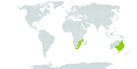 Todea barbara world distribution map, present in Australia, Lesotho, Mozambique, New Zealand, eSwatini, South Africa, and Zimbabwe