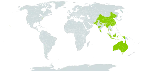 Toona hexandra world distribution map, present in Australia, Bangladesh, China, Indonesia, India, Cambodia, Myanmar, Nepal, Pakistan, and United States of America