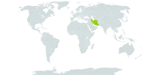 Tordylium cappadocicum world distribution map, present in Iran (Islamic Republic of), Kuwait, and Saudi Arabia